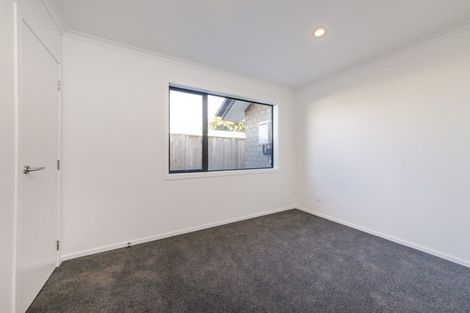 Photo of property in 29a Chelwood Street, Takaro, Palmerston North, 4412
