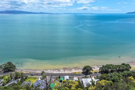 Photo of property in 314 Thames Coast Sh25 Road, Thornton Bay, Thames, 3575