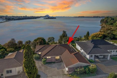 Photo of property in 57 Tutauanui Crescent, Maungatapu, Tauranga, 3112
