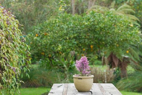 Photo of property in 56b Rahui Road, Otaki, 5512