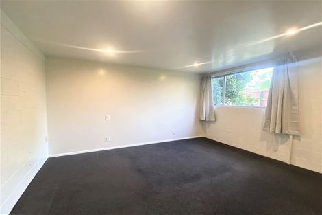 Photo of property in 55 Opawa Road, Waltham, Christchurch, 8023