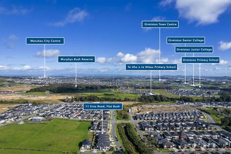 Photo of property in 11 Eros Road, Flat Bush, Auckland, 2019