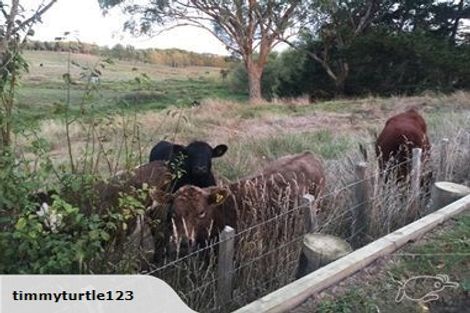 Photo of property in 17 Matau Close, Te Kauwhata, 3710