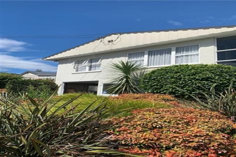 Photo of property in 15a Dorset Street, Richmond, 7020