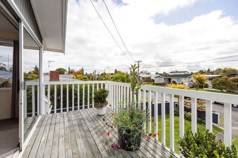 Photo of property in 46 Wake Street, Chartwell, Hamilton, 3210