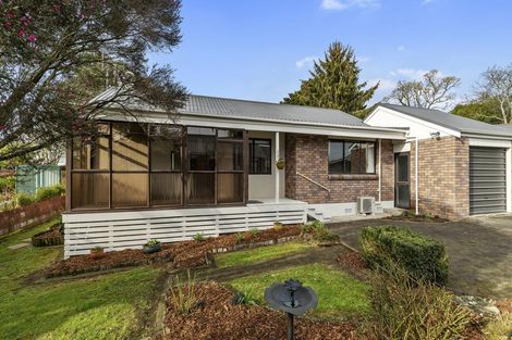 Photo of property in 2/428 Thames Street, Morrinsville, 3300