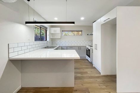 Photo of property in 41 Hume Street, Sydenham, Christchurch, 8023