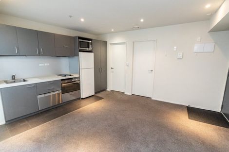 Photo of property in Soho Apartments, 519/74 Taranaki Street, Te Aro, Wellington, 6011
