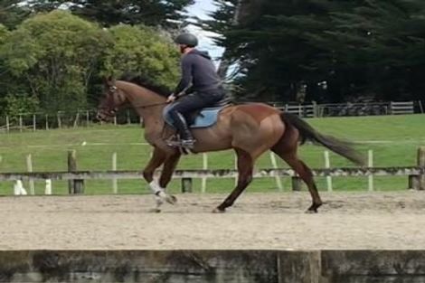 Photo of property in 19 Valley Road, Waitoki, Kaukapakapa, 0871