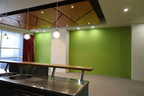 Photo of property in The Lofts, 185u3 Victoria Street, Te Aro, Wellington, 6011