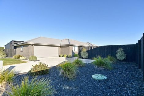 Photo of property in 36 Plover Avenue, Amberley, 7410