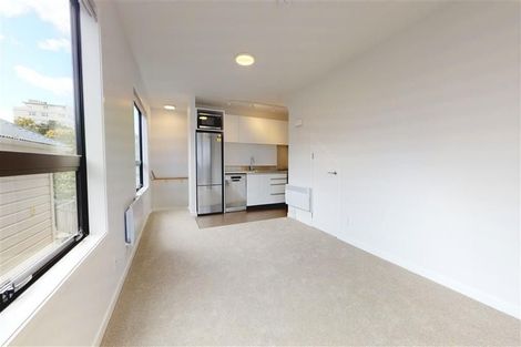 Photo of property in 17u2 Nairn Street, Mount Cook, Wellington, 6011