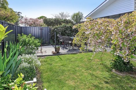Photo of property in 107 Princes Street, Parkvale, Hastings, 4122