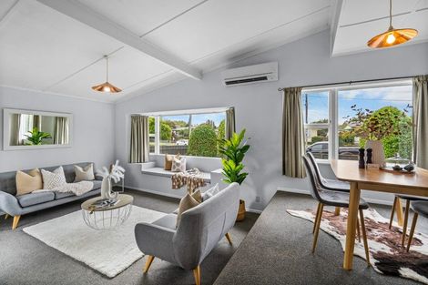 Photo of property in 41 Fitzroy Avenue, Fitzroy, Hamilton, 3206