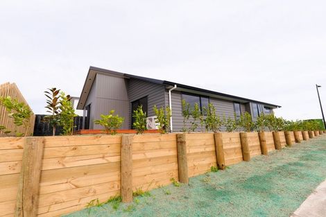 Photo of property in 364 Rimu Street, Te Kauwhata, 3710