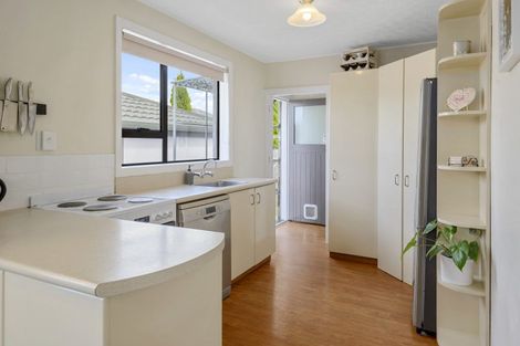 Photo of property in 41 Halliwell Avenue, Papanui, Christchurch, 8052