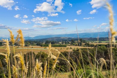 Photo of property in 110 Te Wharau Road, Gladstone, Masterton, 5883
