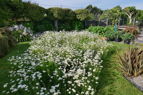 Photo of property in 31 Rothwell Street, Titahi Bay, Porirua, 5022