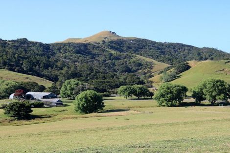 Photo of property in 60 Mangawhai Heads Road, Mangawhai Heads, Mangawhai, 0505