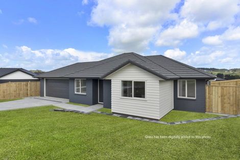 Photo of property in 118 Hitchen Road, Pokeno, 2402