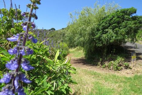 Photo of property in 145 Mannion Road, Wyuna Bay, Coromandel, 3581