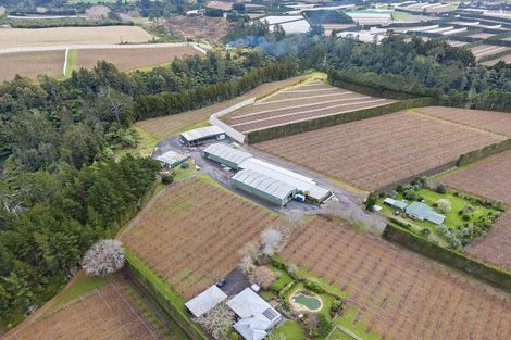 Photo of property in 288a No 3 Road, Te Puke, 3183