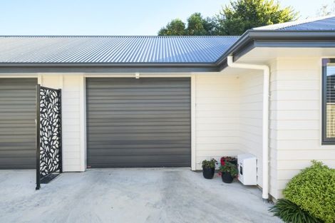 Photo of property in 519b Ferguson Street, Palmerston North, 4410