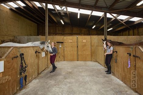 Photo of property in 17 Deacon Road, Riverhead, Kumeu, 0892