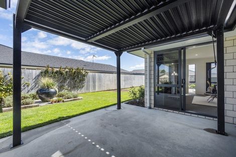 Photo of property in 31 Banks Road, Matamata, 3400