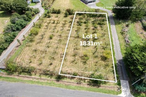 Photo of property in 38a Rochfort Street, Otane, 4202