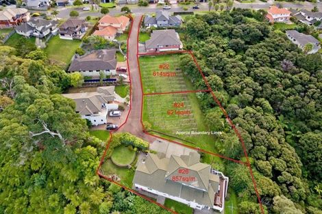 Photo of property in 22 Lorikeet Place, Unsworth Heights, Auckland, 0632