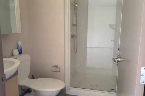 Photo of property in Dual Apartments, 210/142u Vivian Street, Te Aro, Wellington, 6011