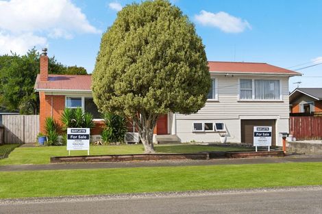 Photo of property in 143 Fitzroy Avenue, Fitzroy, Hamilton, 3206