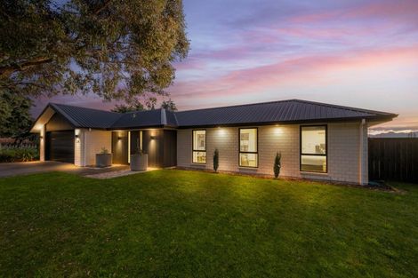 Photo of property in 238 Taylor Pass Road, Witherlea, Blenheim, 7201