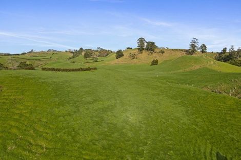 Photo of property in 1234 Richmond Road, Everett Park, Inglewood, 4389