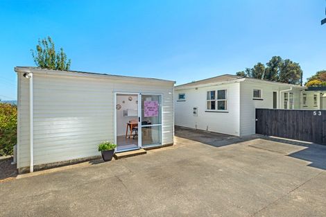 Photo of property in 53 Winter Street, Mangapapa, Gisborne, 4010