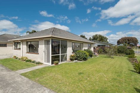 Photo of property in 4a Solway Place, Mount Maunganui, 3116