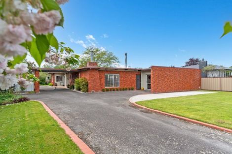 Photo of property in 38 Edith Street, Masterton, 5810
