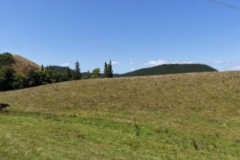 Photo of property in 880 Kopuku Road, Maramarua Forest, Pokeno, 2471