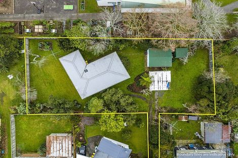 Photo of property in 20 Pinedale Place, Henderson, Auckland, 0610