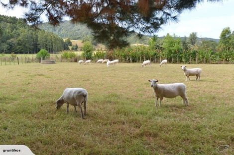 Photo of property in 580 Mountfield Road, Waipu, 0582