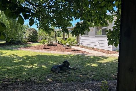 Photo of property in 64 Parnassus Road, Ferniehurst, Cheviot, 7384