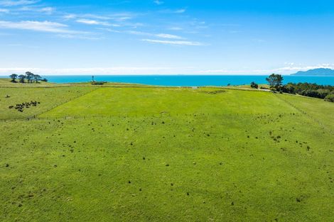 Photo of property in 98 Cape Rodney Road, Leigh, 0985