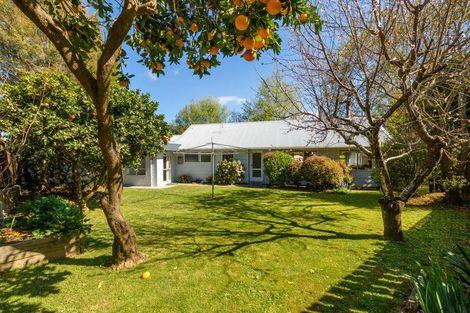 Photo of property in 77 Sherwood Street, Bellevue, Tauranga, 3110