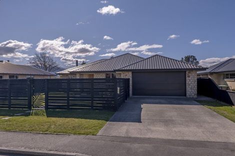 Photo of property in 98 Spaxton Street, Methven, 7730