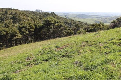 Photo of property in 60 Summer Road, Tinopai, Matakohe, 0593