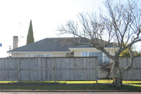 Photo of property in 166 Nixon Street, Hamilton East, Hamilton, 3216