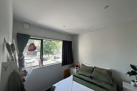 Photo of property in 1/195 Massey Street, Frankton, Hamilton, 3204