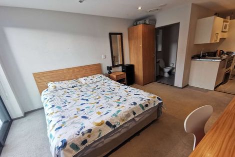 Photo of property in Dual Apartments, 108/142u Vivian Street, Te Aro, Wellington, 6011