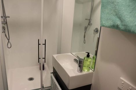 Photo of property in 24u9 Princess Terrace, Newtown, Wellington, 6021